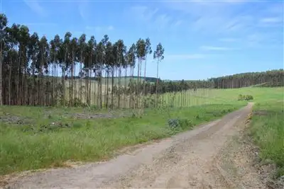 . Valley View Road, Princetown VIC 3269