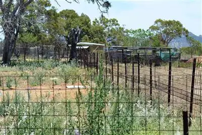 Seventh view of Homely rural property listing, 52275 Burnett Highway, Bouldercombe QLD 4702