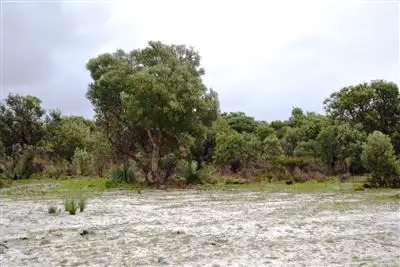 Sixth view of Homely rural property listing, 170 Tangletoe Road, Gingin WA 6503