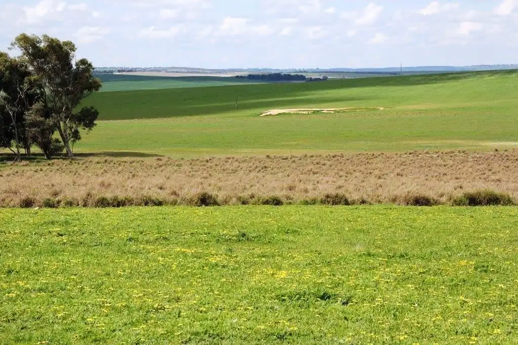 Main view of Homely rural property listing, 200 Bibby Road, Badgingarra WA 6521