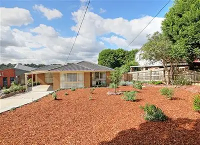 Main view of Homely house listing, 5 Adley Court, Vermont South VIC 3133