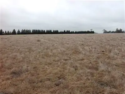 Sixth view of Homely rural property listing, 0 Quirks Lane, Chintin VIC 3756