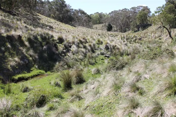 Fifth view of Homely rural property listing, Lot 94 off South Forest Way, Kindervale via, Braidwood NSW 2622