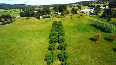 Third view of Homely rural property listing, 99 Rugby Road 'Lilstan', Dalton NSW 2581