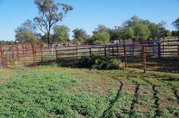 Fourth view of Homely rural property listing, . Stumpy Lane, Wee Waa NSW 2388