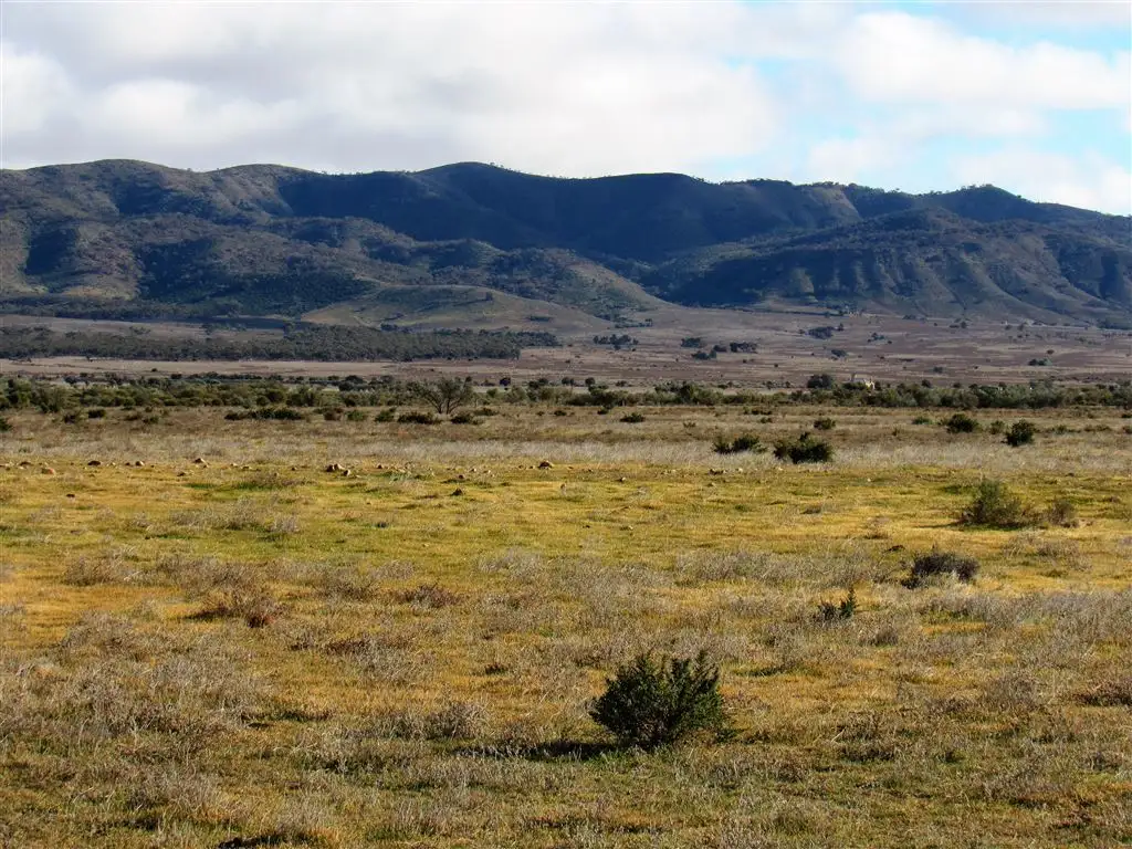 Main view of Homely rural property listing, 1225 Johnburg Road, Orroroo SA 5431