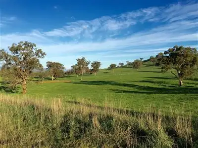 Second view of Homely rural property listing, 163 McLeishes Road, Yea VIC 3717