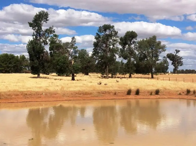 Second view of Homely rural property listing, Lots/25-28 5318 Olympic Hwy,, Henty NSW 2658