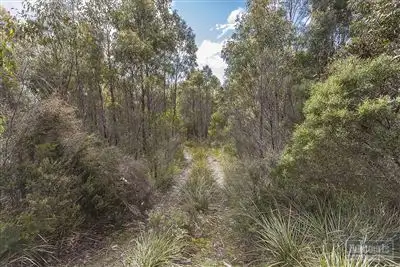 Fourth view of Homely land listing, RA She Oak Road, Judbury TAS 7109