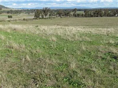 Seventh view of Homely rural property listing, 8183 "Hillside" The Escort  Way, Eugowra NSW 2806