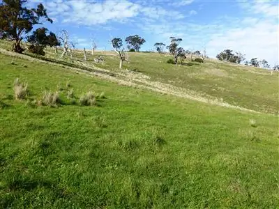 Seventh view of Homely rural property listing, Sect 478 Upper Skilly Road, Watervale SA 5452