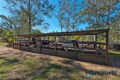 27 Elm Court, Morayfield QLD 4506