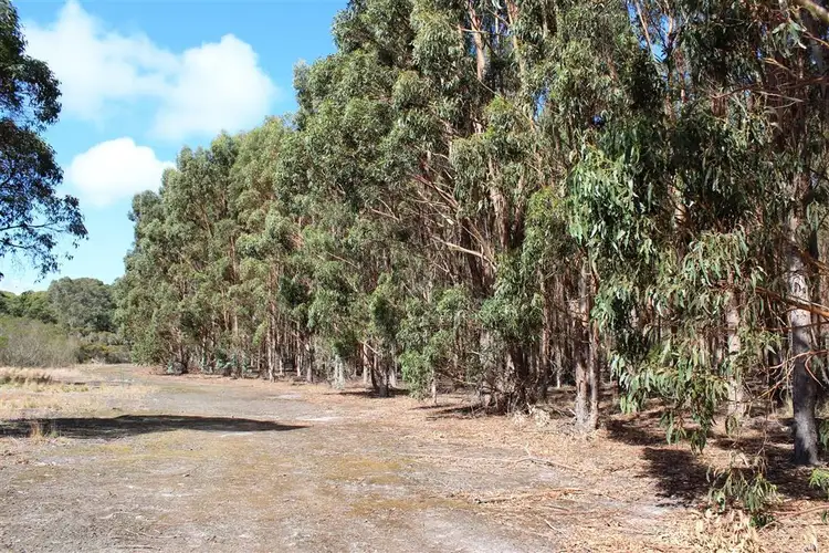 Fourth view of Homely rural property listing, 44493 South Coast Hwy, Albany WA 6330