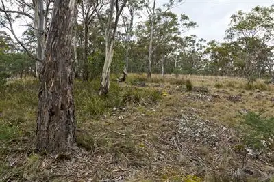 Sixth view of Homely land listing, 87 Isaac Road, Black Hills TAS 7140