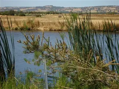 Main view of Homely rural property listing, 479 Campbell Road, Benger WA 6223