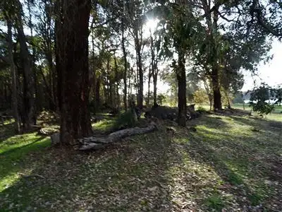 Fifth view of Homely house listing, 333 Junction Road, Manjimup WA 6258