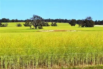 Third view of Homely rural property listing, Address available on request