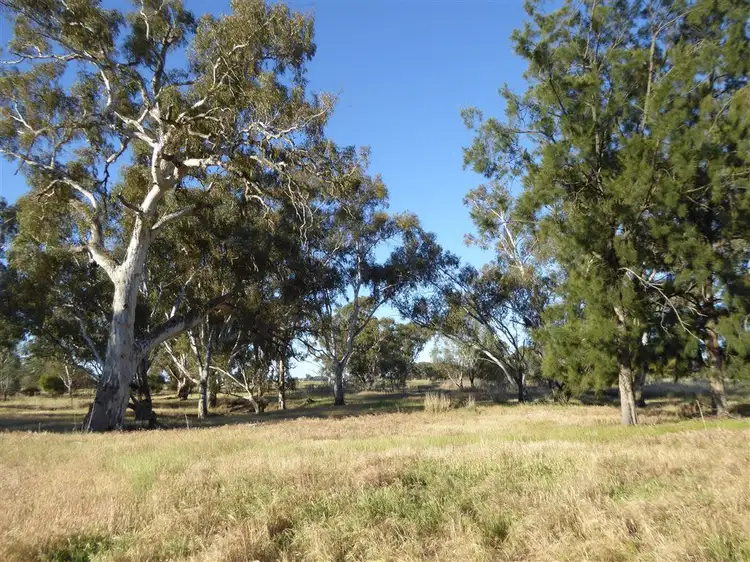 Second view of Homely rural property listing, 3946 Olympic Highway, Henty NSW 2658