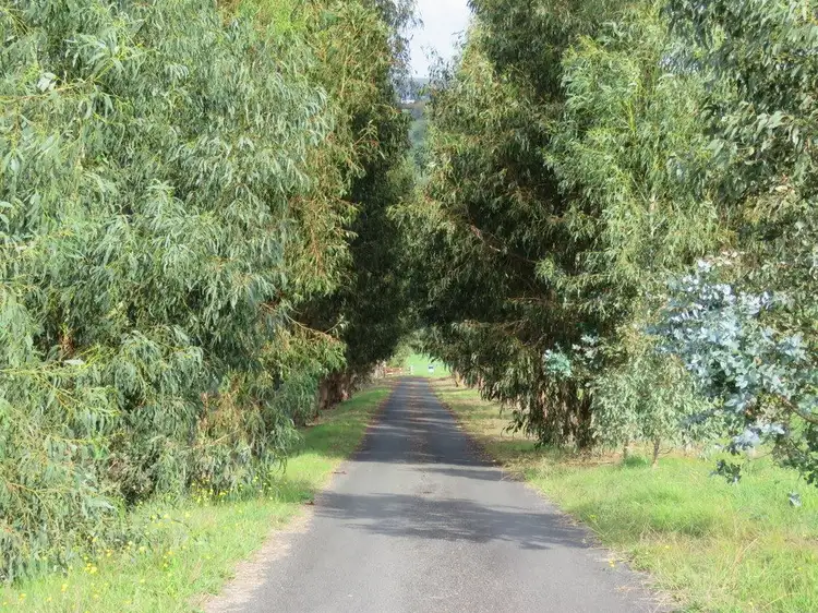 Third view of Homely land listing, 107 Bramley Place, Bridgetown WA 6255