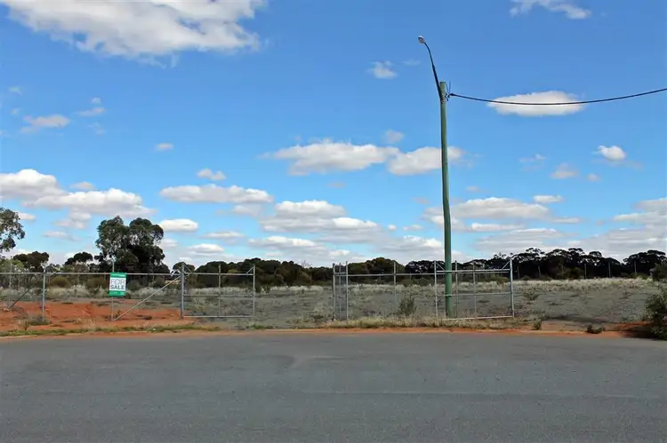 Fifth view of Homely land listing, 16 - 18 Calleen Street, West Wyalong NSW 2671