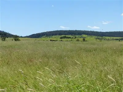Third view of Homely rural property listing, . "Robinson Paddock", Taroom QLD 4420
