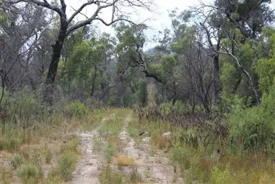 Third view of Homely rural property listing, Lot 9 Rookledges Road, Mirranatwa VIC 3294