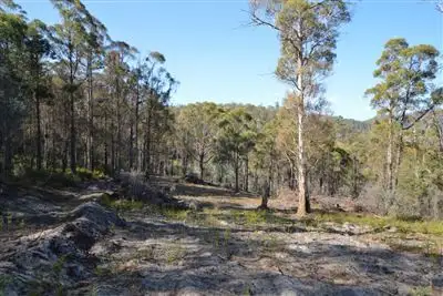 Fifth view of Homely land listing, Lot 2 Thallans Road, Colebrook TAS 7027