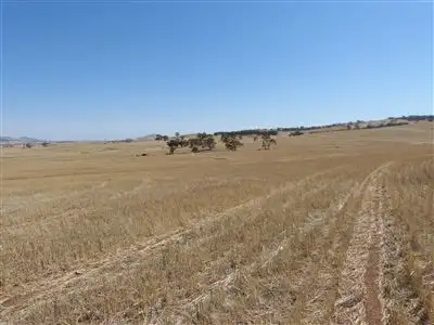 Second view of Homely rural property listing, Sect 145 Tarcowie Peterborough Road & Briars Road, Tarcowie SA 5431