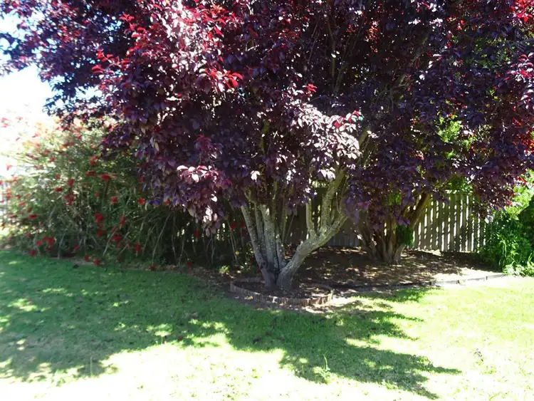 Seventh view of Homely house listing, 20 Robertson Street, Manjimup WA 6258