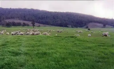 Seventh view of Homely rural property listing, 462 Cluan Road, Westbury TAS 7303