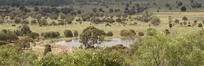 Fifth view of Homely rural property listing, 1200 Bundalba Road, Biloela QLD 4715
