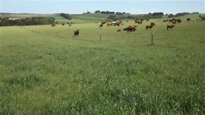 Second view of Homely rural property listing, 560 Princetown Road, Simpson VIC 3266