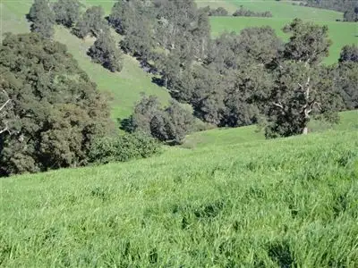 Sixth view of Homely land listing, Address available on request