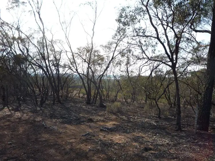 Fifth view of Homely rural property listing, Lot 36 Kaye Road, St Arnaud VIC 3478