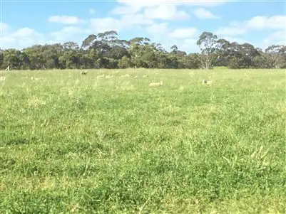 Lot 8 Braeside Road, Finniss SA 5255