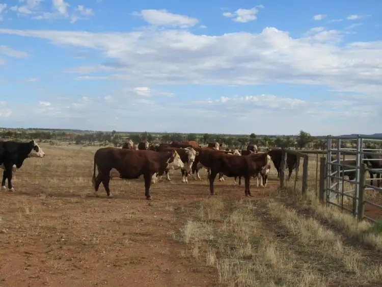Fifth view of Homely rural property listing, 2871 Minburra Road, Orroroo SA 5431