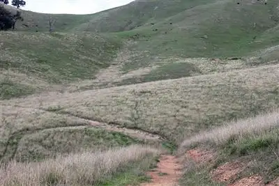 Sixth view of Homely land listing, 0 Spring Creek Road, Alexandra VIC 3714