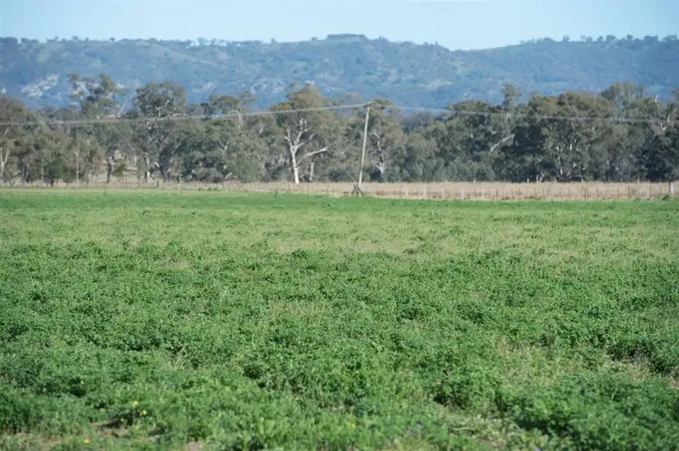 Third view of Homely rural property listing, 226 Dartbrook Rd, Aberdeen NSW 2336