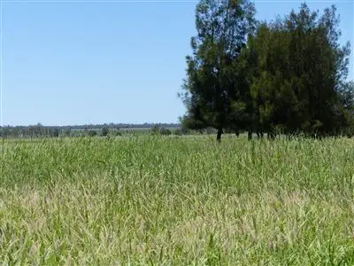 Sixth view of Homely rural property listing, . "Redmarley", Condamine QLD 4416
