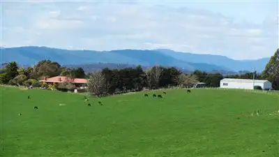 Fifth view of Homely rural property listing, 71 Nourses Road, Bridport TAS 7262