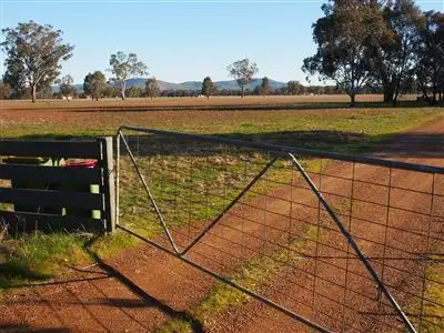 Seventh view of Homely rural property listing, 338 Benalla Warrenbayne Road, Baddaginnie VIC 3670