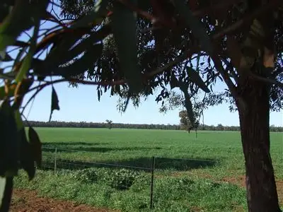 Fourth view of Homely rural property listing, "AFTON" 323 Donaldson's Road, Narrandera NSW 2700