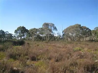 Seventh view of Homely rural property listing, 1573 Cooma Road, Braidwood NSW 2622