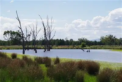 Second view of Homely rural property listing, 17062 Kamilaroi Highway, Narrabri NSW 2390