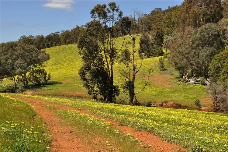 Fifth view of Homely house listing, 849 Nanga Brook Road, Waroona WA 6215