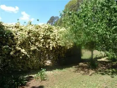 Third view of Homely rural property listing, Mungarra, 944 Pulletop Road, Cookardinia, Wagga Wagga NSW 2650