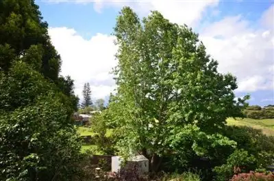 Fifth view of Homely house listing, 14 Main Street, Comboyne NSW 2429