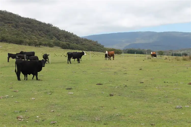 L4 Hereford Hall Road, Braidwood NSW 2622