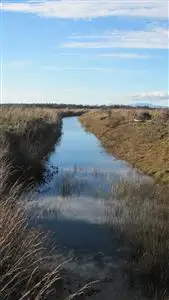 Fifth view of Homely rural property listing, 340 Green Rises Road, Cressy TAS 7302