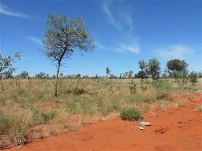 Main view of Homely rural property listing, Portion 6110 & 6108 Central Australia, Ti Tree NT 872